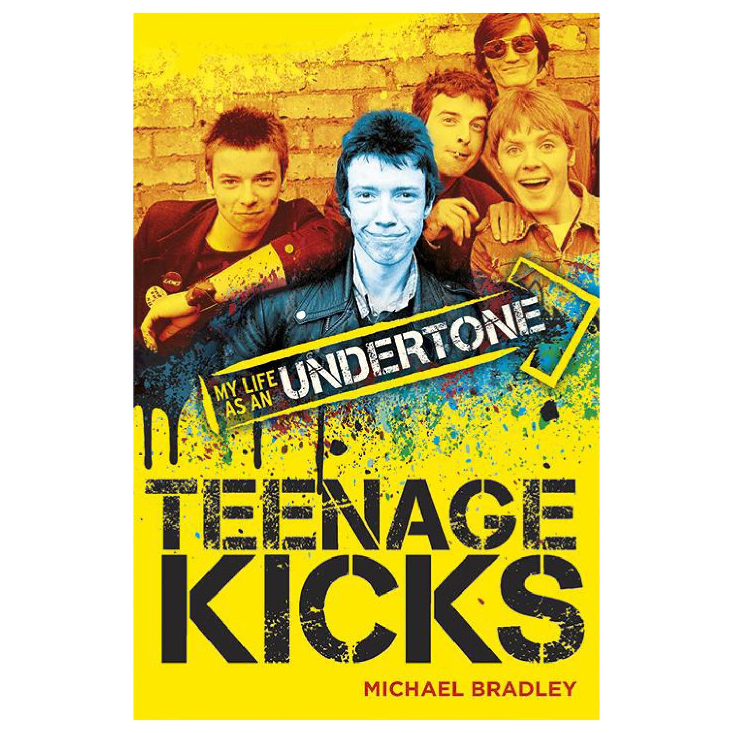 Teenage Kicks: My Life as an Undertone