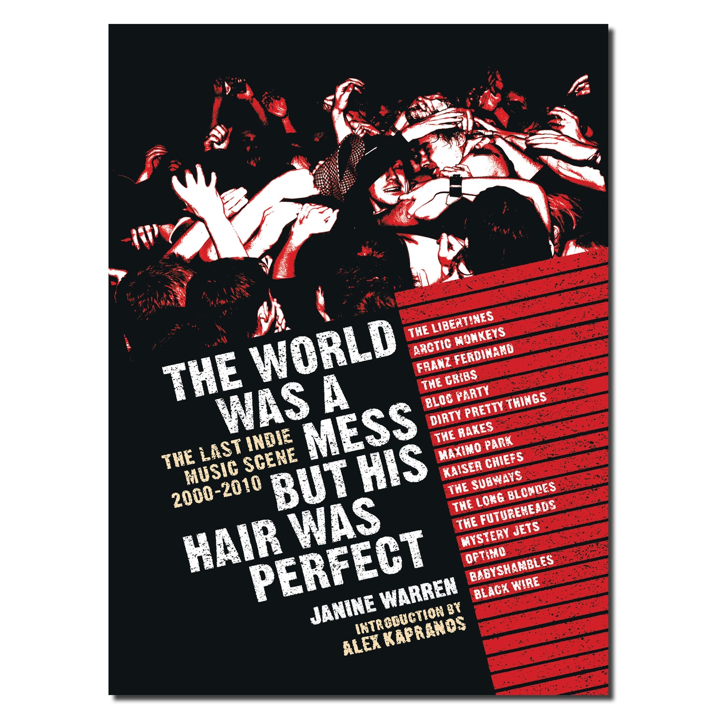 The World Was A Mess But His Hair Was Perfect: The Last Indie Music Scene 2000-2010