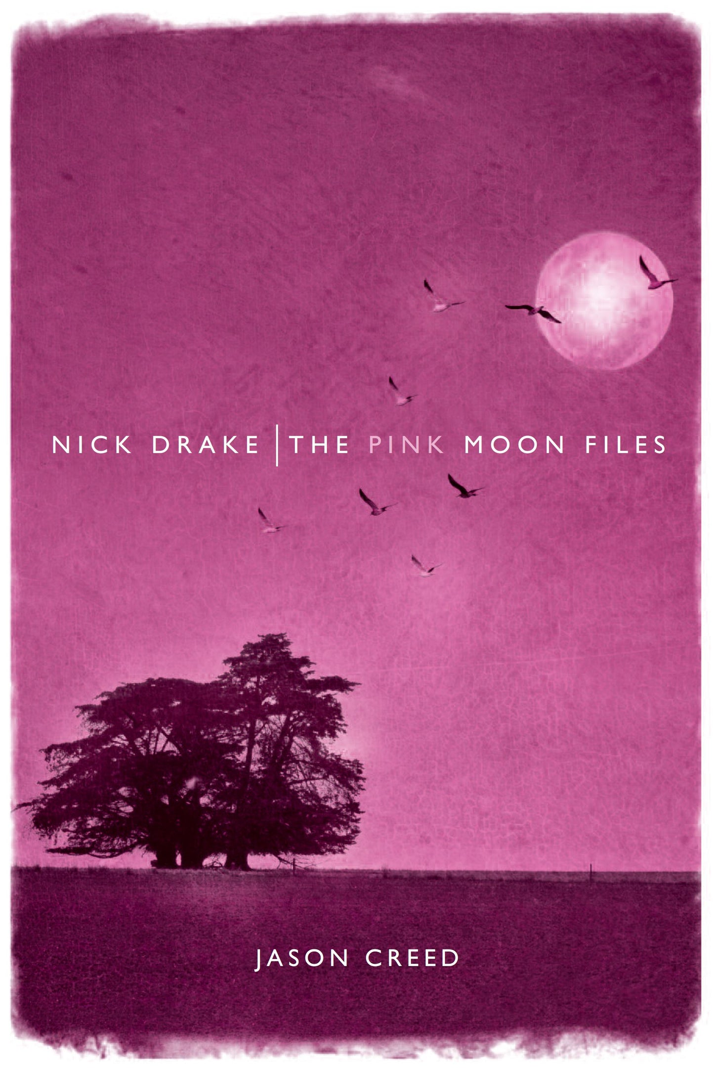 Nick Drake: The Pink Moon Files